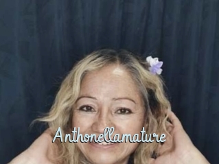 Anthonellamature