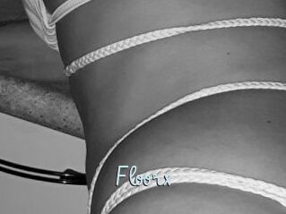 Floorx