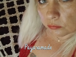 Payasamade