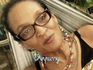 Vippussy