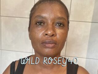 WILD_ROSEY40
