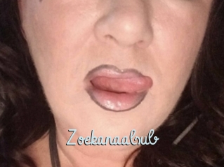 Zoekanaalsub